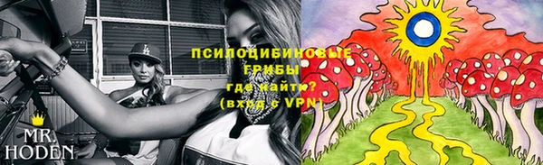 ПСИЛОЦИБИНОВЫЕ ГРИБЫ Володарск